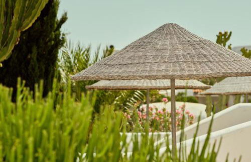 La Posidonia - Foto 47