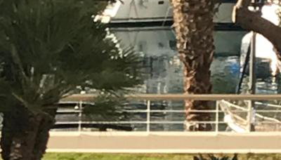 VILLENEUVE LOUBET- MARINA BAIE DES Anges -AU BON VIVRE - 2 pièces- Le Ducal - 60m2 Luxe - Foto 4