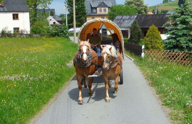 Plush Apartment in Annaberg-buchholz - Foto 33