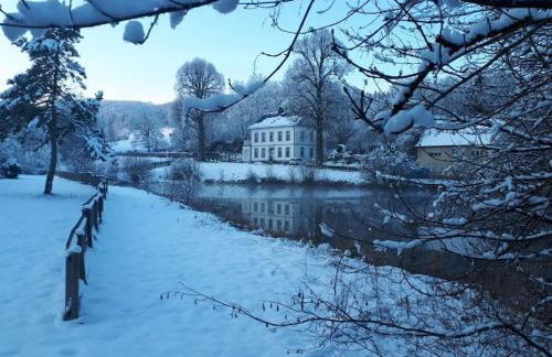 Ferienwohnung Landidyll, Whirlpool, Minipigs, Ponys, Familien - Foto 28