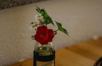 Haus Bergfrieden - Foto 49