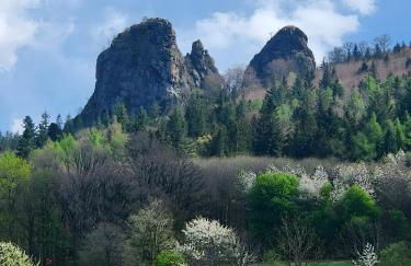 Ferienwohnung an der Bieke - Foto 17