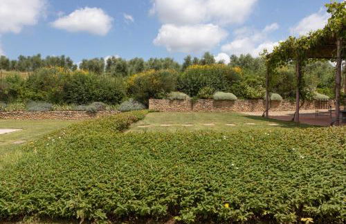 Luminoso Fienile vista vigne - Foto 7