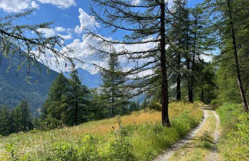 Ninette, intimità e natura - Foto 15