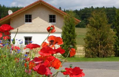 Ferienhaus Geyerbad mit Sauna - Foto 9