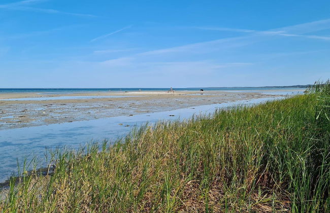 4 Person Holiday Home in Allingabro-by Traum - Foto 22