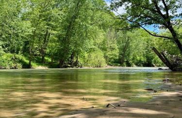 Three Suns Full Rental | 8 Cabins | Views | River - Foto 35