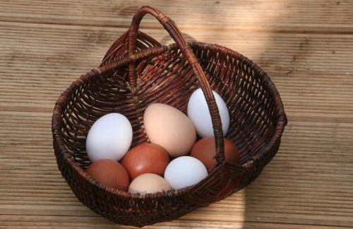 Pension Müllers Mühle - Foto 28