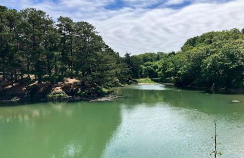 Appartement Doëlan, le port et la mer à pieds - Foto 12