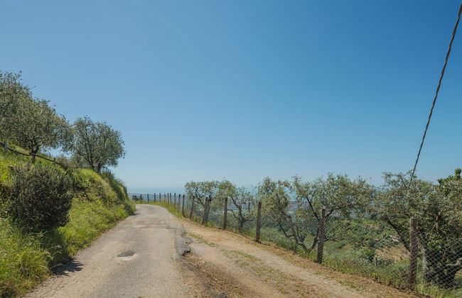 Di Carlino - Foto 32