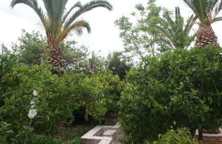 Villa Christina - Foto 31