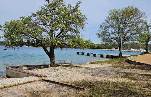 Apartma Park Učka - Foto 5