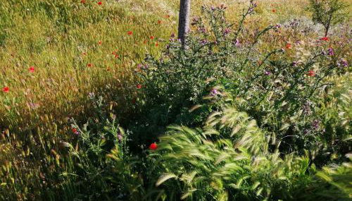 CASA TRABANCOS - Foto 4