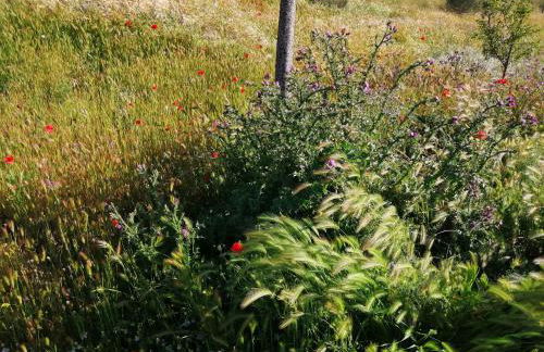 CASA TRABANCOS - Foto 4