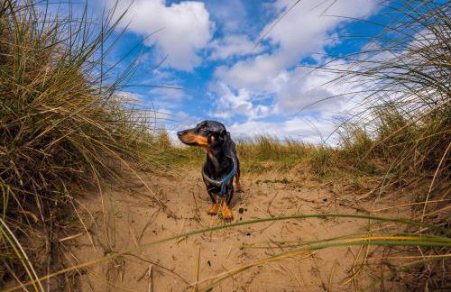 Afan Forest Retreat Trails from the door - Foto 80