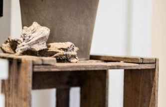 Ferienwohnung Hanhofen - Foto 14