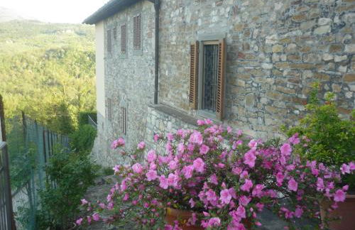 Complesso colonico Pogginano - Foto 20