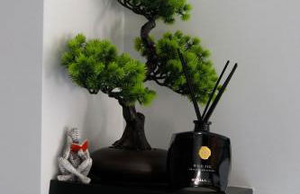 SEE - Gare de Marly - Foto 21