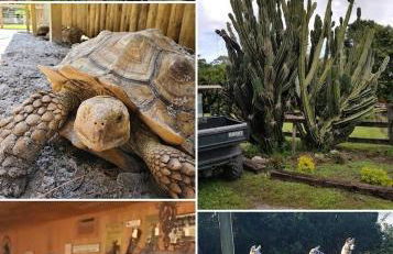 Beach Cottage - Foto 66