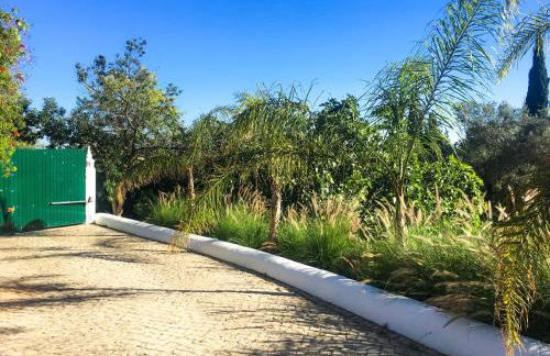 Quinta Da Ilda - Foto 41