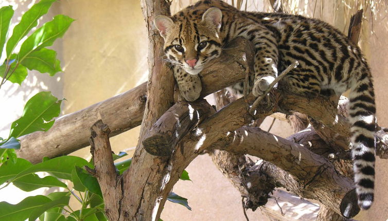 Terra Natura Benidorm - ¡¡Oferta Especial Invierno!!