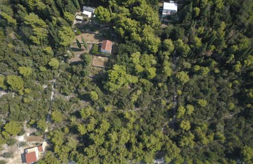 Apartmani Nena - Foto 5