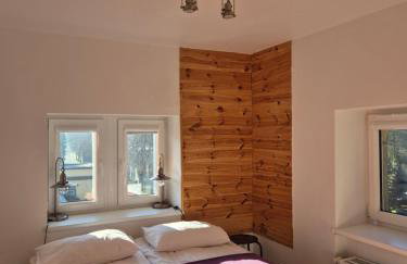 Kot Pocztowy - Foto 21