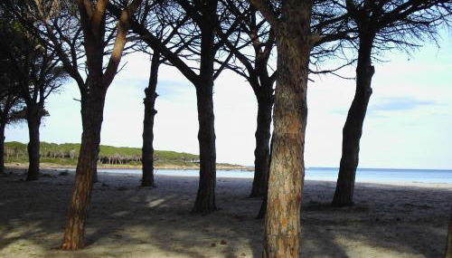 Casetta sul Mare - Foto 4