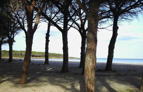 Casetta sul Mare - Foto 4