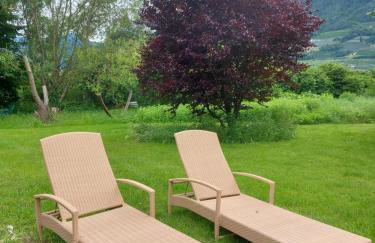 Apartment Sonne auf Bio-Hof - Photo 15