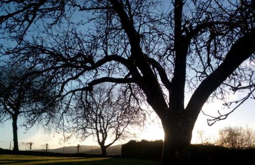 Casa Vixide - Foto 37