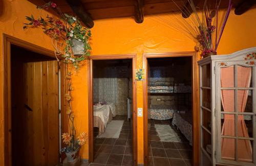 Lo Racó de Peret - Foto 39