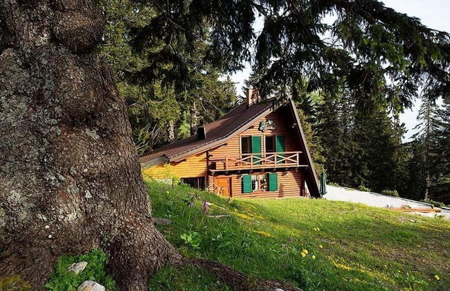 Chalet Alpinka - Foto 24