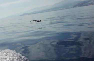 Barbara's House - Liguria - Foto 41