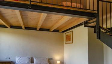 Agriturismo Cignale della Società Agricola Cignale srl - Foto 2