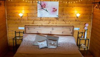 Blossom Cabin - Little log Cabin in Wales - Foto 2