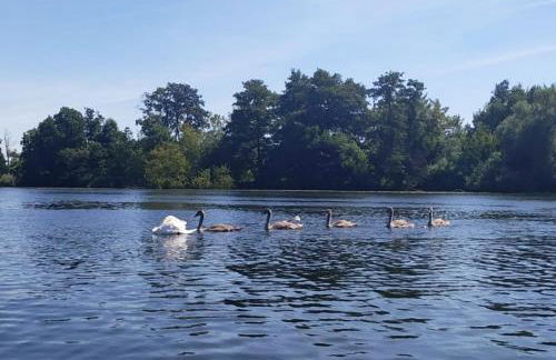 Ferienwohnung "Alte Fischerei" - Foto 21