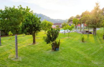 Welcoming Villa with Mountain View in Sobradelo da Goma - Foto 23