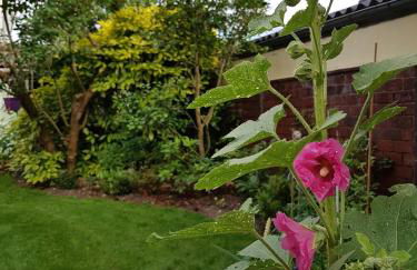 Les Bruyeres - Foto 34