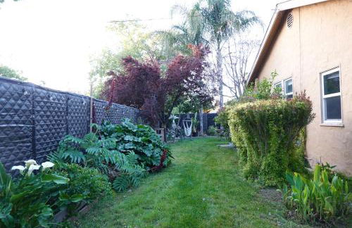 Minimalist Luxury Home With Botanic Garden - Foto 27