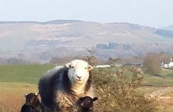 Boreland Farm - Photo 19