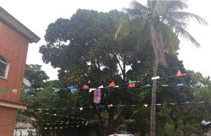 CASA inteira entre Guaratiba e Campo Grande, Rio de Janeiro, RJ - a 40 min da praia, próximo ao Estádio Miecimo da Silva e Park Shopping-Ideal para descanso, encontros, festa e lazer-3000 m2 - Foto 46