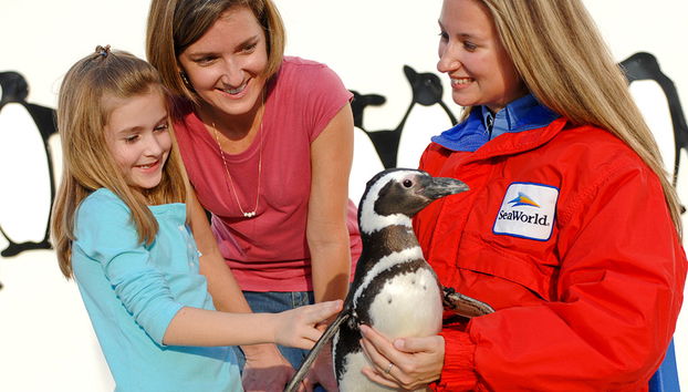 Busch Gardens Tampa - Foto 2