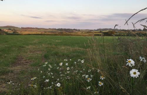 RB Contractor Stays - Helyg - Photo 9