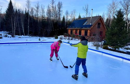 BC Log cabin with private beach river fire pit AC wifi onsite trails ski slope views - Foto 18
