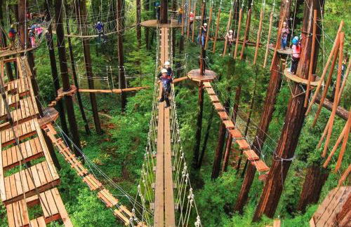 Redwood Oasis, Grove and Nook - Foto 79