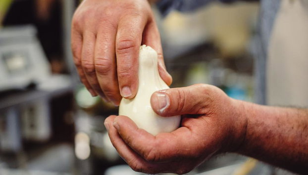 Mozzarella and Pasta Making Workshop in Apulian Masseria with Optional Tasting - Foto 2