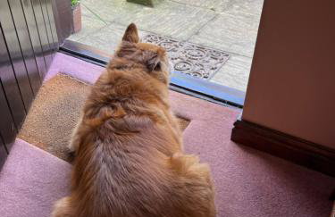 Laburnum Cottage Broadway - Foto 24