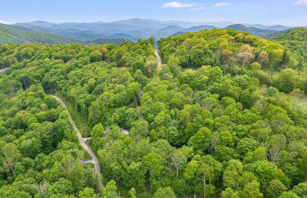 Deck w/ Forest Views, Ping Pong Blue Ridge Mtn Escape Ash Vale by Avantstay - Foto 72