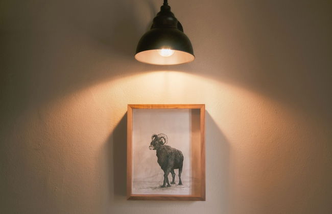 Alma Liebre Viñedos del Valle - Foto 45